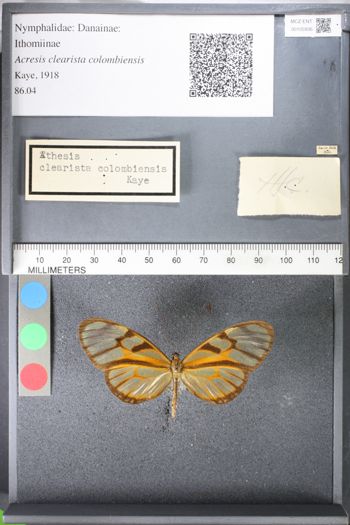 Media type: image;   Entomology 105936